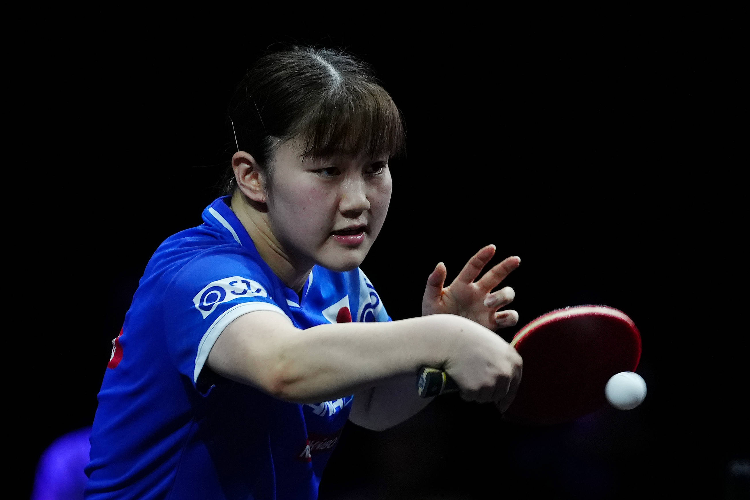 塔图姆在这 塔图姆在这